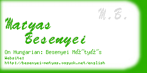 matyas besenyei business card